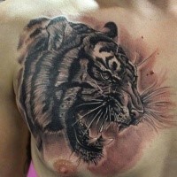 Tatuaje de pecho de tinta negra estilo 3D de tigre rugiente