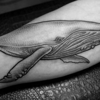 Tatuaje en el antebrazo, ballena magnífica grande, colores negro blanco