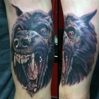 3D style colored arm tattoo of roaring werewolf