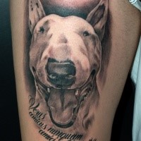 3D style colored dog portrait tattoo with lettering