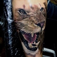 3D style colored tattoo of lifelike lion portrait
