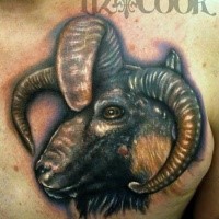 3D style creepy looking colored chest tattoo of demonic goat