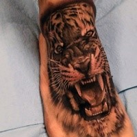 3D Stil detailliertes Fuß Tattoo von brüllendem Tiger