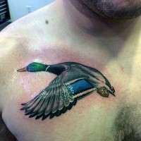 3D Stil wunderbares farbiges Brust Tattoo mit fliegendem Ente