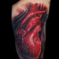 3D Stil kleinteiliger Arm Tattoo des menschlichen Herzen