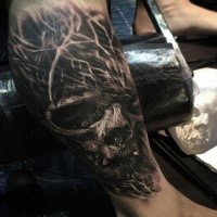 3D style very detailed by Eliot Kohek tattoo of human skull