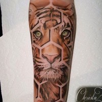 3D style very detailed colorful fragmented tiger tattoo on forearm