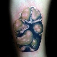 3D style very realistic looking cat paw tattoo