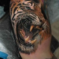 3D very detailed colorful roaring tiger tattoo on biceps