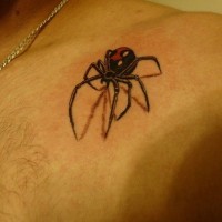 Tatuaje  de araña venenosa volumétrica en el hombro
