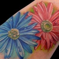 Tatuaje  de dos flores del aster de color azul y rosa