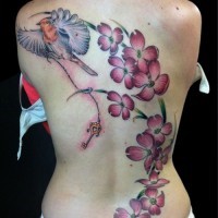 Tatuaje en la espalda, flores estupendas con ave linda y llave
