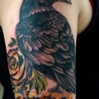 Awesome black raven with yellow rose tattoo on upper arm