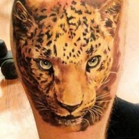 Awesome color-ink cheetah head tattoo on shin