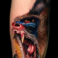 Awesome colorful baboon tattoo on arm