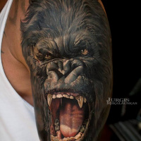 Awesome colorful realistic gorrila tattoo on shoulder