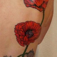 eccezionale fiore papavero a scarafaggio tatuaggio su schiena