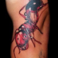 Awesome red-and-black-ink ant tattoo on leg