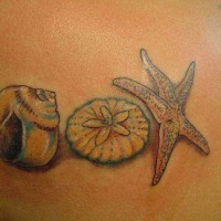 Awesome seashell and starfish tattoo for women on side
