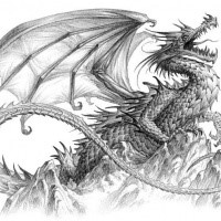 Bad grey-ink dreamy dragon tattoo design