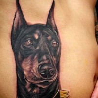 Beautiful black-and-white doberman in thorned dog-collar tatto on side