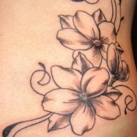 bellissimi  contorno nero fiore corniolo tatuaggio