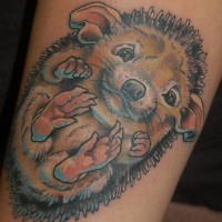 Beautiful color-ink hedgehog tattoo on upper arm