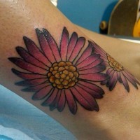 Beautiful pink aster flower tattoo on leg