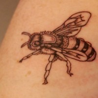 Einfarbiges realistisches Bienen Tattoo
