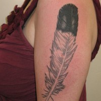 Big black-and-white eagle feather tattoo on upper arm