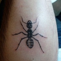 Big black-ink ant tattoo on arm