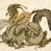 Big oriental dragon flock tattoo design