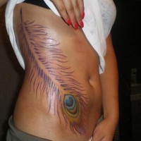 Big peacock feather tattoo on side