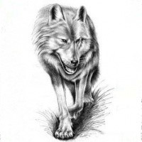 Black-and-white wolf walking forward tattoo design