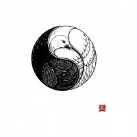 Angry tiger sitting on yin yang crashed by chinese dragon tattoo design ...