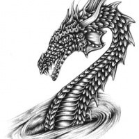 Black-ink dragon portrait in vortex tattoo design