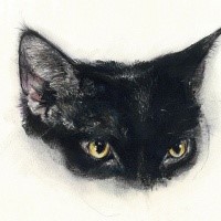 Black half-muzzle cat with cunning eyes tattoo design