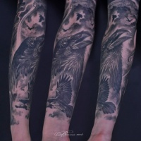 Black raven tattoo on forearm