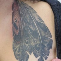 Black spotted eagle feather tattoo on chest