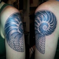 Blackwork style large upper arm tattoo of nautilus shell
