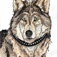 Brown-color wolf in beaded collar tattoo design