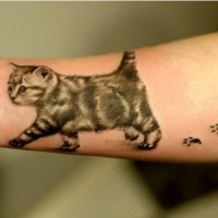 Tatuaje en la mano, gatito, huellas