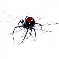 Charming colorful black widow spider on web tattoo design ...