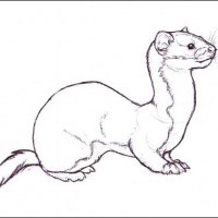 Charming outline rodent tattoo design