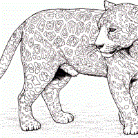 Cool outline walking jaguar in full growth tattoo design - Tattooimages.biz