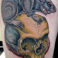 Colorful rodent on skull tattoo on upper arm