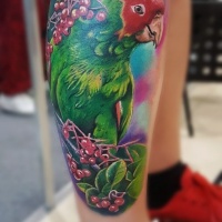 Tatuaje de loro Colorfull en la pierna