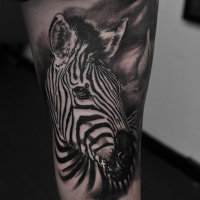 Cool black and white zebra tattoo