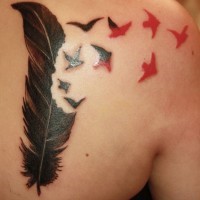 Tatuaje en el hombro, pluma negra con aves rojas