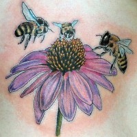 fresco colorato fiore aster con api tatuaggio